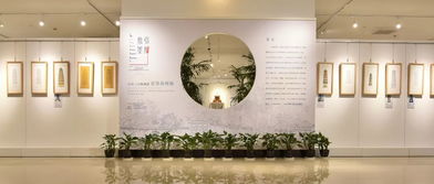 歷史文化與藝術(shù)的多元融合——上海思博職業(yè)技術(shù)學院中國傳統(tǒng)文化教育活動開放日掠影